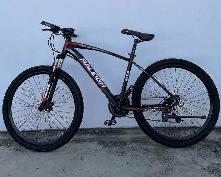 Raleigh hardtail mountain online bike